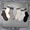 Шкарпетки жіночі 6 пар високі «Пастель» розмір 36-40 арт. 313.6, фото 6