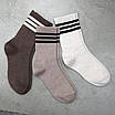 Шкарпетки жіночі 6 пар високі «Пастель» розмір 36-40 арт. 313.6, фото 8