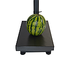 Ваги підлогові електронні TF-5100 до 150 кг з РК-дисплеєм та живленням від мережі 220В або акумулятора, фото 5