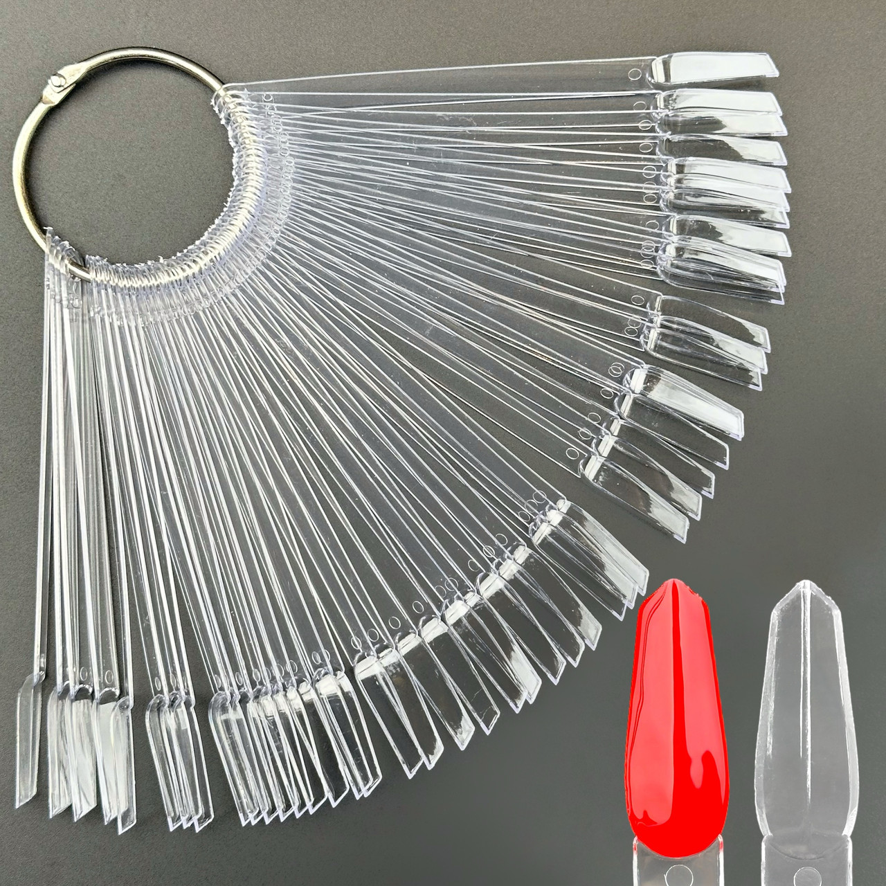 Прозора палітра-віяло №450 на кільці (50 типс,13 см) для демонстрації гель-лаків та дизайнів, фото 1