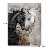 Картина Пара коней Білий і чорний кінь Друк на полотні 60х46см, фото 5
