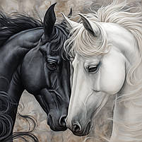 Картина Пара коней Білий і чорний кінь Друк на полотні 60х46см, фото 4