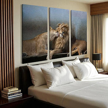 Картина Пара левів Настінний декор для спальні Левиця та лев Друк на полотні 90х60 з 3-х частин