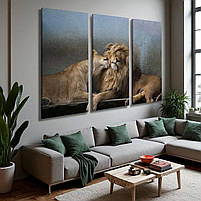 Картина Пара левів Настінний декор для спальні Левиця та лев Друк на полотні 90х60 з 3-х частин, фото 3