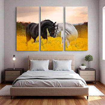 Картина модульна Чорний та білий кінь на полі Красива пара коней Друк на полотні 90х60 з 3-х частин