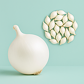 Цибуля сіянка Гледстоун (Bejo, Голландия) 1кг