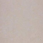 Вінілова підлога BerryAlloc Zenn 55 Glue Down Delhi (клейова), фото 2