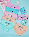 Трусики для дівчинки, труси для дівчинки зріст 110-116, фото 2