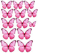 Вафельна картинка Метелики рожеві