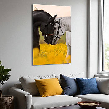 Картина Пара коней Білий та чорний кінь Двоє коней Друк на полотні Настінний декор в інтер'єр 60х40см