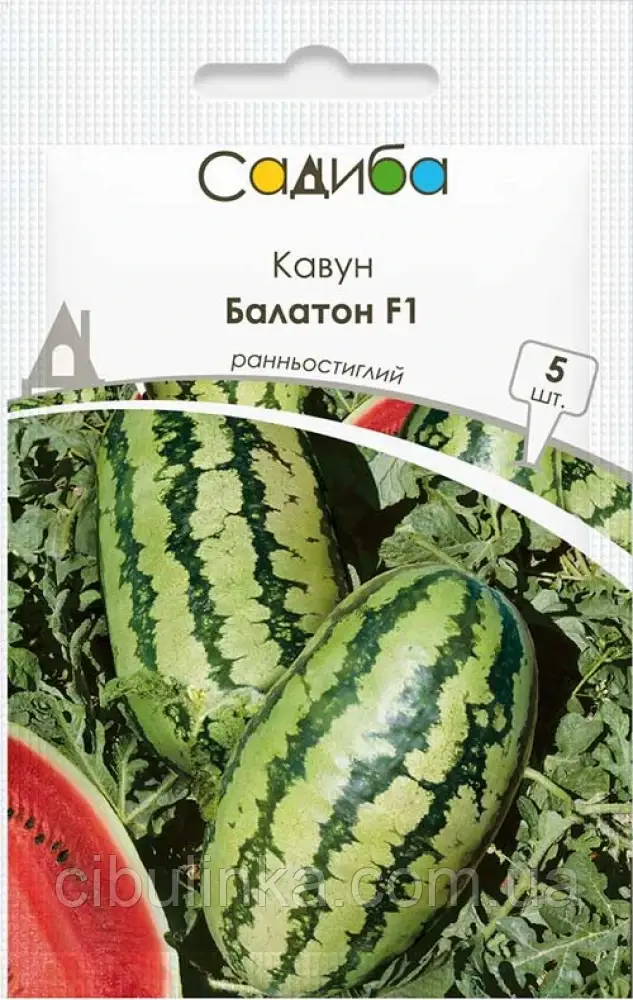 Кавун Балатон F1 Нідерланди 5 шт, фото 1