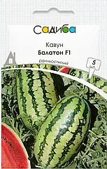 Кавун Балатон F1 Нідерланди 5 шт