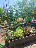 Грядки розбірні, Грядки під замовлення, Грядки по розмірам., фото 3
