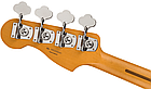Бас-гітара FENDER PLAYER PLUS PRECISION BASS MN FRD, фото 6