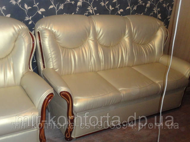 Перетяжка кожаной мебели в Днепропетровске - фото 5 - id-p32368394