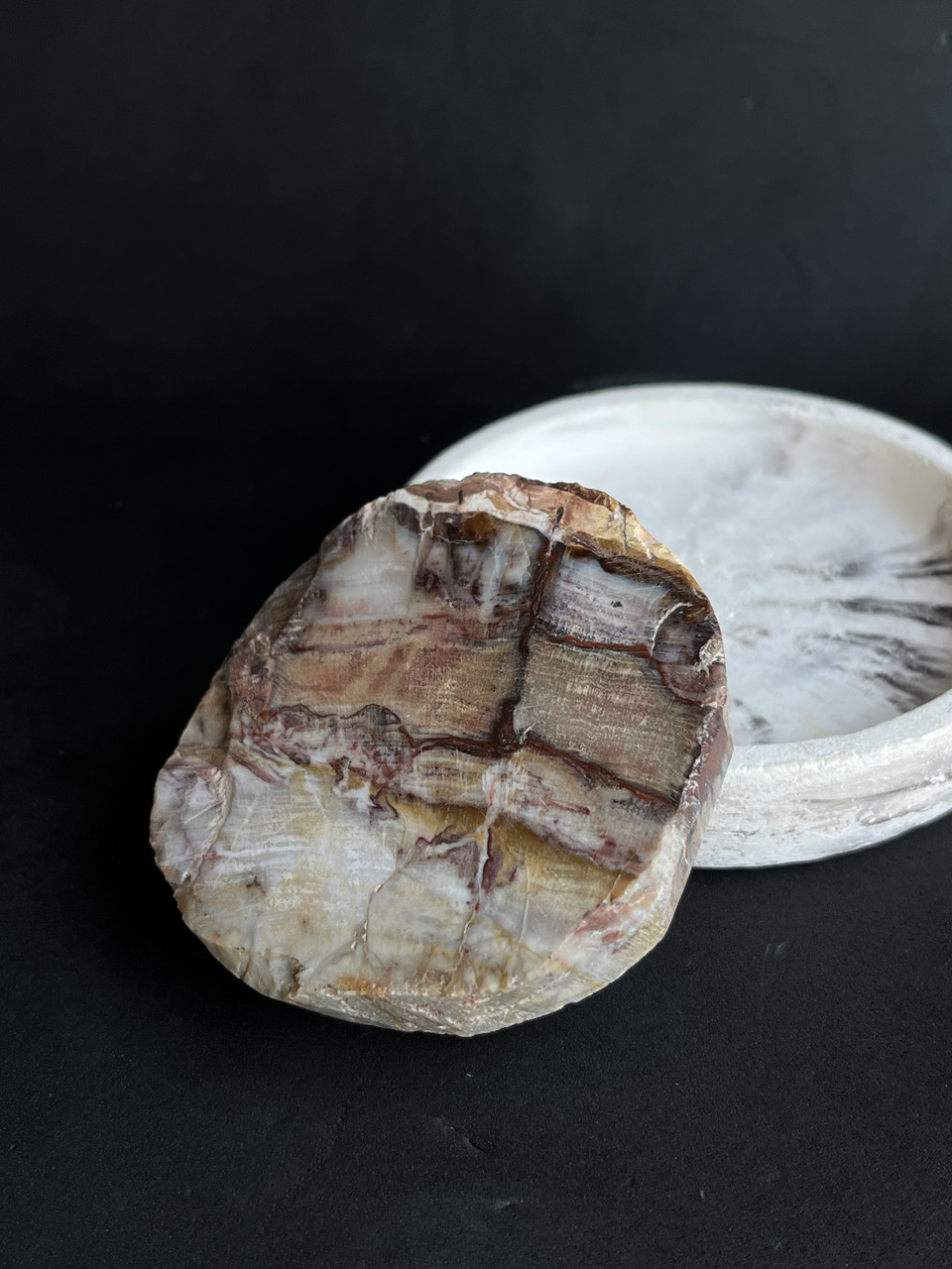 Скам'яніле дерево. Окам'яніле дерево. Закам'яніле дерево 63*16 мм., фото 1