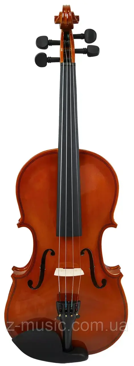 Скрипка PARKSONS CV101 4/4, фото 1