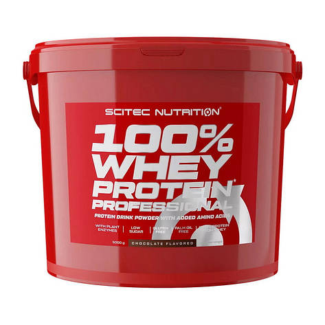 Scitec Nutrition 100% Whey Protein Professional (5 kg, chocolate), фото 1