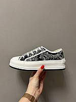 Midnight Bloom Platform