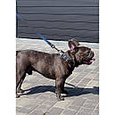 Повідець нейлон 200 cм 25 мм Waudog Nylon Mono чорний для собак L-XXL, фото 2