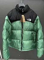 TNF Pr Green