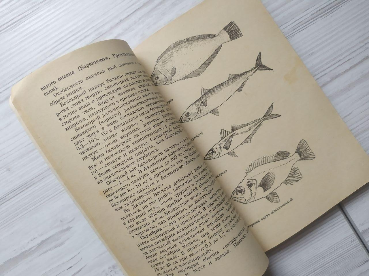 Product image preview