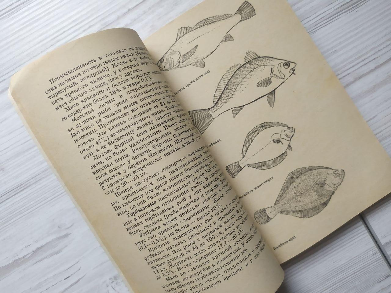 Product image preview