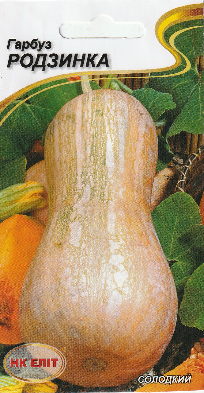 Насіння гарбуза Родзинка 10 шт. НК Еліт, фото 1