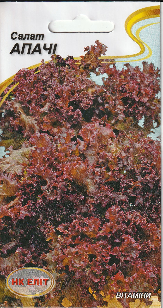 Насіння салату Апачі 1 г НК Еліт, фото 1