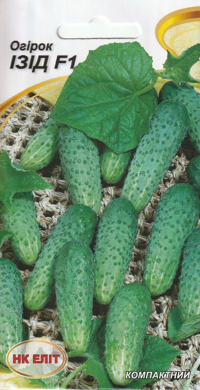 Насіння огірків Ізід F1 15 шт. НК Еліт, фото 1