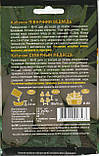 Насіння кабачків Північний ведмідь 20 г НК Еліт, фото 2