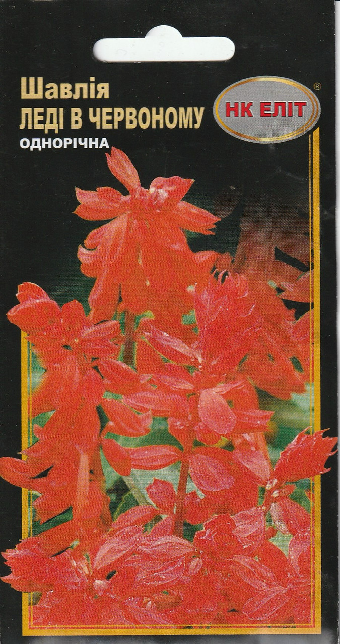 Насіння квітів Шавлія Леді в червоному 0,1 г НК Еліт, фото 1