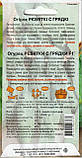 Насіння огірків Хлопці з грядки F1 15 шт НК Еліт, фото 2