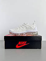 LOT: 1545 S Cod: 0026