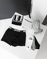 Комплект 4 штуки білизни + 8 пар шкарпеток з коробкою S