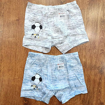 Труси дитячі, боксери "DONELLA" Туреччина Art: 751285 6-7 років / 2 штуки