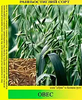 Овес, фасування 1 кг