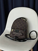 Рюкзак Louis Vuitton  Palm Springs Mini  коричневий + чорний Є