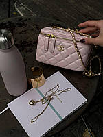 Chanel Classic Powder Lambskin Pearl Crush Vanity Bag Gold   [оригінальна коробка] 17х11х8
