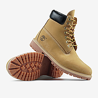 Timberland Beige