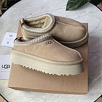 UGG Tasman Platform Beige