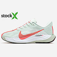 1597 Nike Air Pegasus Road Running