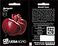 Насіння Буряку Детройт 10 г (Leda Agro), стабільний середньостиглий сорт для відкритого ґрунту, фото 2
