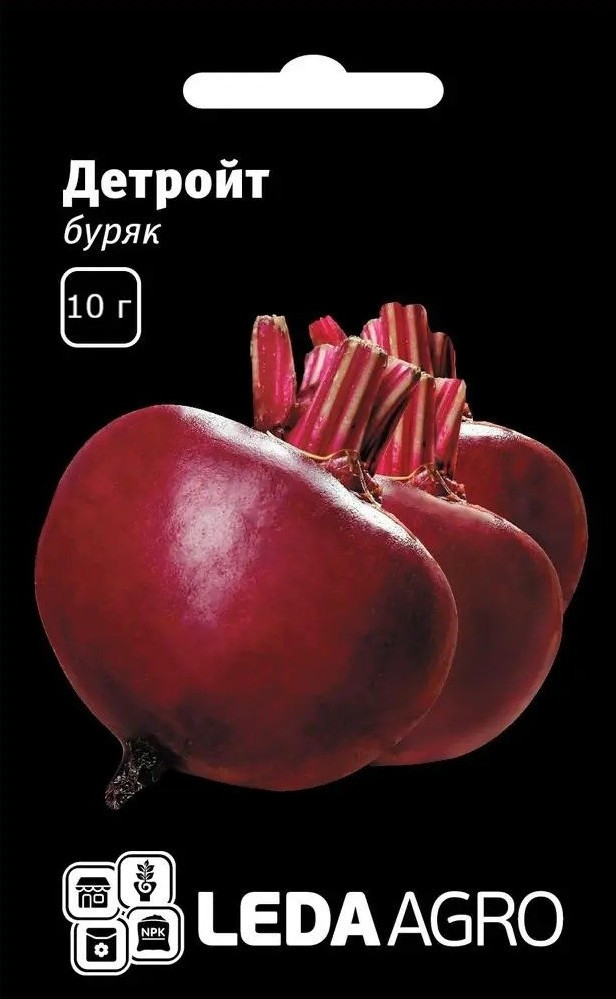 Насіння Буряку Детройт 10 г (Leda Agro), стабільний середньостиглий сорт для відкритого ґрунту, фото 1