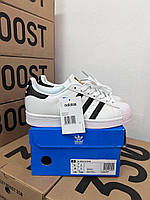 Adidas Superstar white