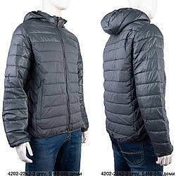 Сіра чоловіча демісезонна куртка "Фабричний Китай" Розмір: 48,50,52,54,56 (18134-3)