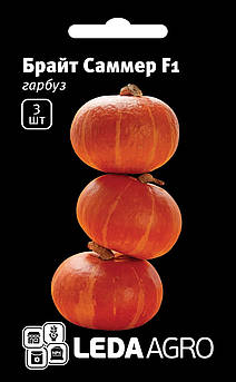 Насіння Гарбуза Брайт Саммер F1, 3 шт (Leda Agro), ранній гібрид для відкритого ґрунту та теплиць