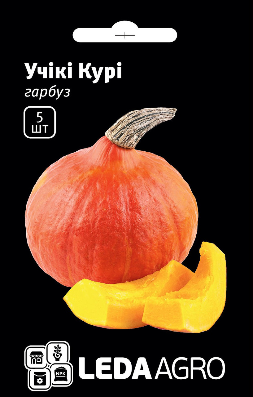 Насіння Гарбуза Учікі Курі, хокайдо тип, 5 шт (Leda Agro), середньоранній сорт для різних кліматичних зон та відкритого ґрунту, фото 1