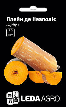 Насіння Гарбуза Плейн де Неаполіс 30 шт (Leda Agro), середньопізній сорт для відкритого ґрунту