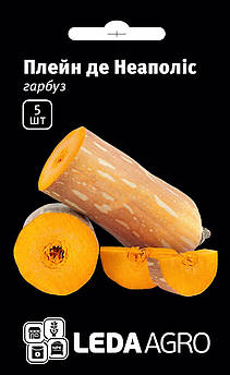 Насіння Гарбуза Плейн де Неаполіс 5 шт (Leda Agro), середньопізній сорт для відкритого ґрунту